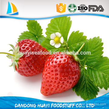 Große Qualität gefrorene neue frische Erdbeere für heißen Verkauf
